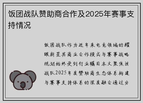 饭团战队赞助商合作及2025年赛事支持情况
