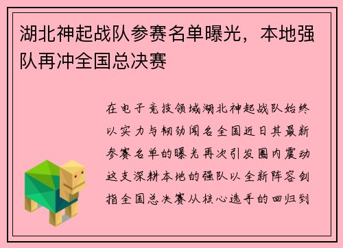 湖北神起战队参赛名单曝光，本地强队再冲全国总决赛